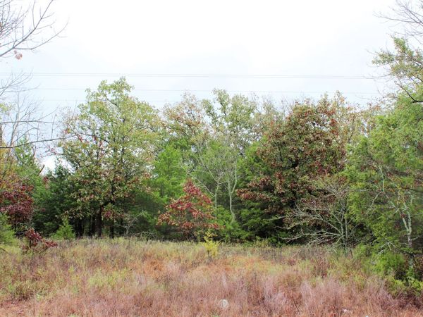 271 E 1931 Road , Rattan, OK 74562