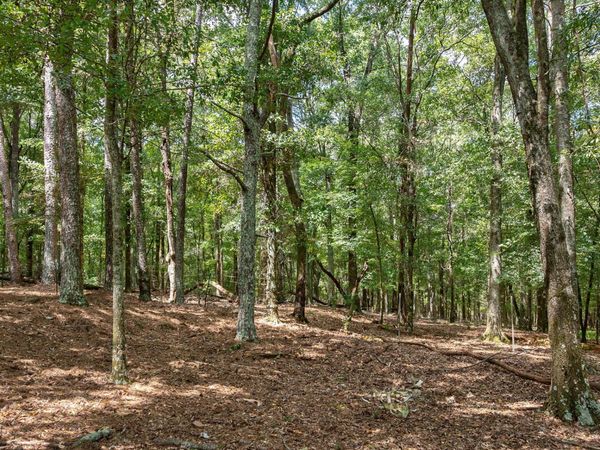 000 Middlebrooks Road, Watkinsville, GA 30677