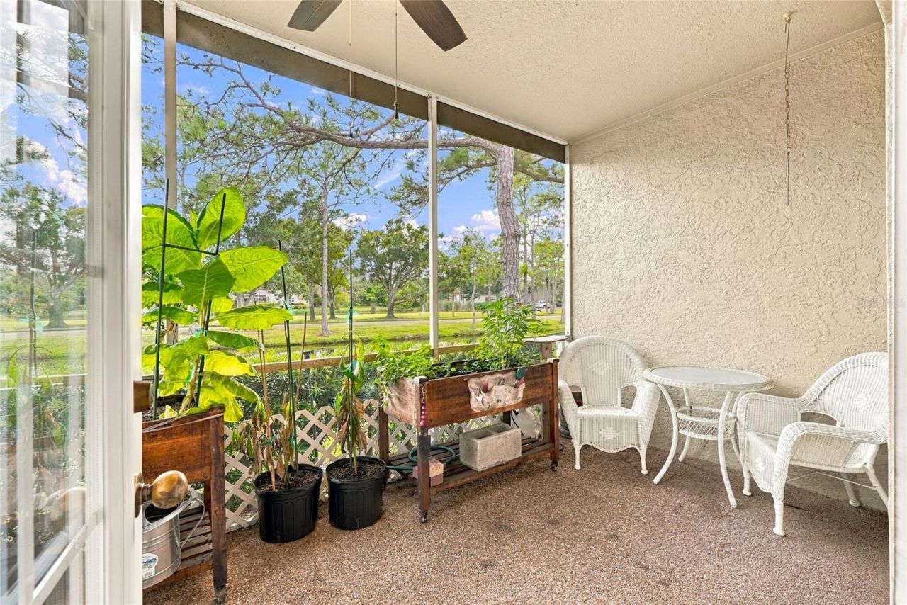629 Segovia Court Ne, Unit 405, Saint Petersburg, FL 33703 Photo