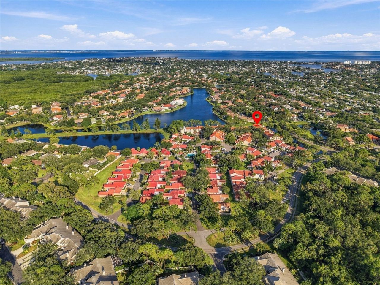 629 Segovia Court Ne, Unit 405, Saint Petersburg, FL 33703 Photo
