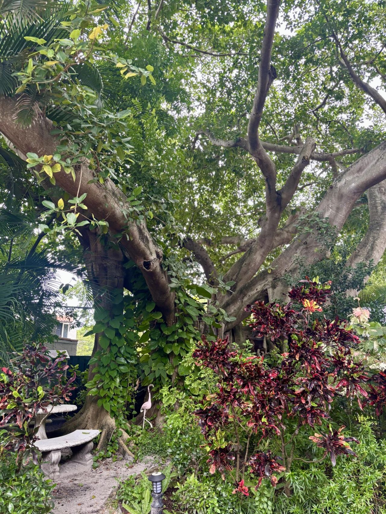 703 Sunset Road, West Palm Beach, FL 33401 Photo