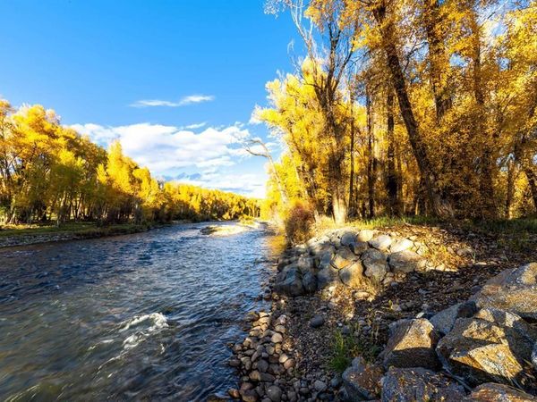 255 Riverwalk Drive, Gunnison, CO 81230