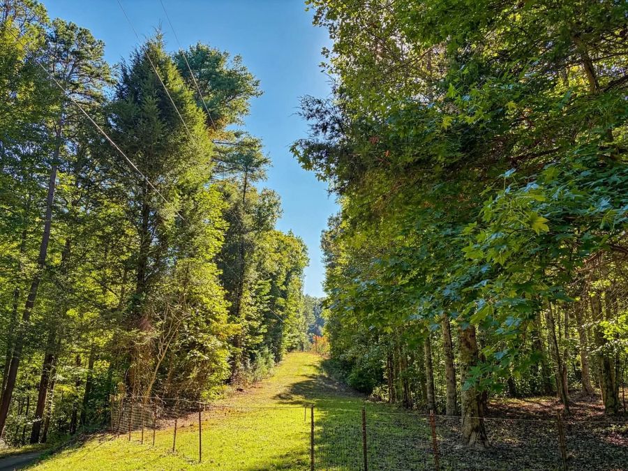 Property Image 25