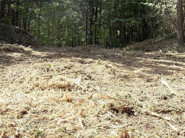TBD Ridge Run Road , Boomer, NC 28606