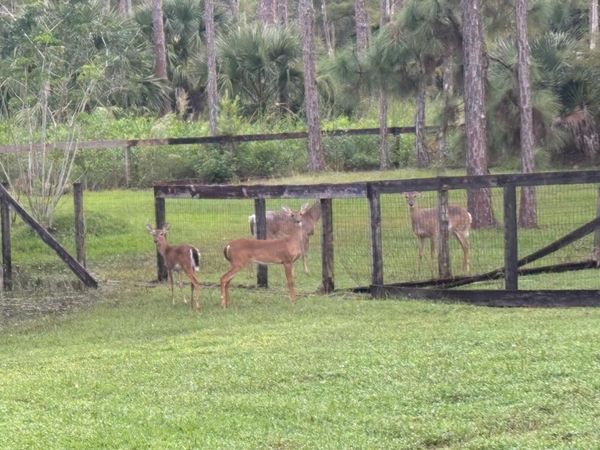 5637 COUGARS PROWL, Wellington, FL 33449