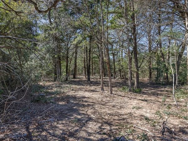4.81 AC Pauline Lane , Caldwell, TX 77836