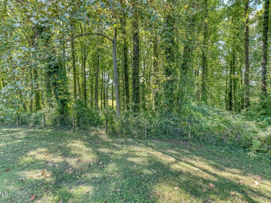 Property Image 65