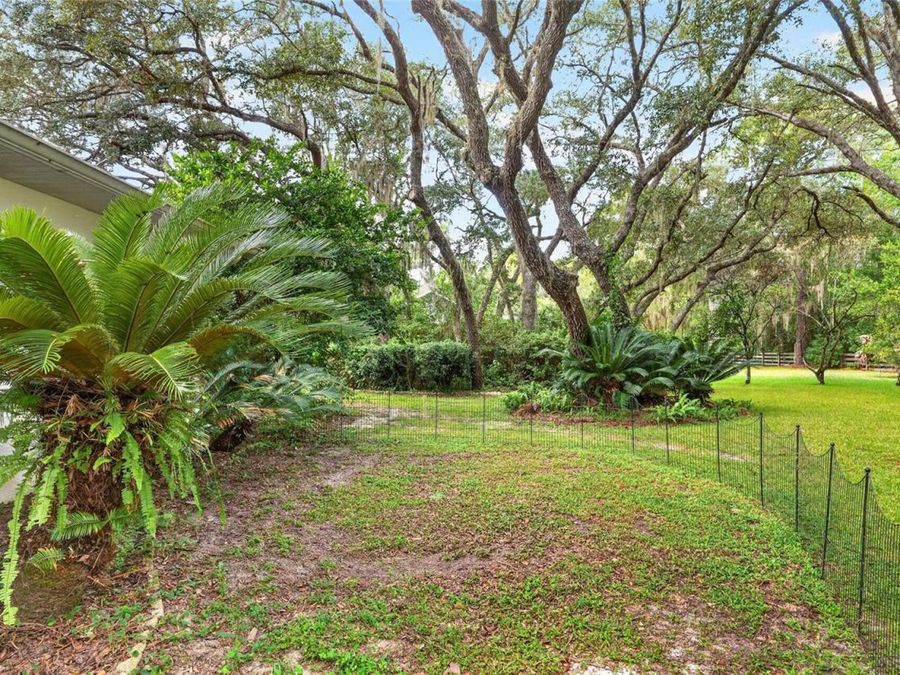 Property Image 79
