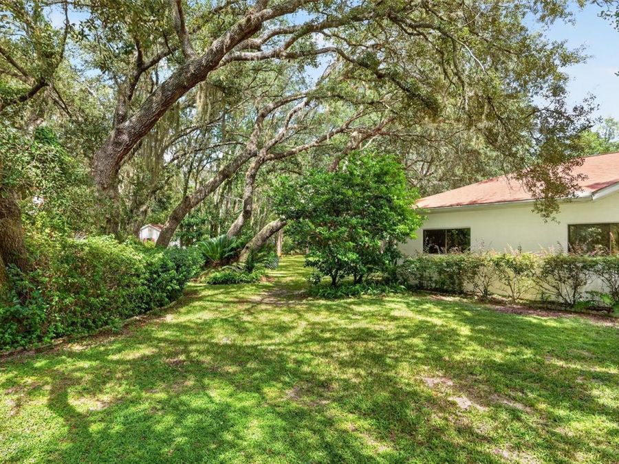 Property Image 81