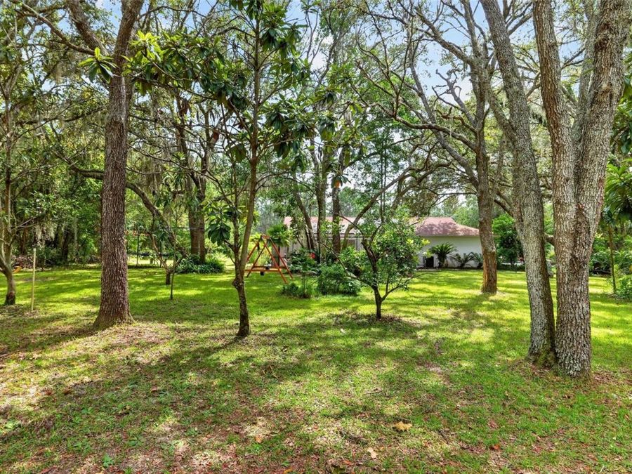 Property Image 89