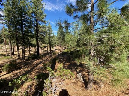 955 Blue Spruce Road, Reno, NV 89511 Photo