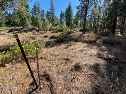 955 Blue Spruce Road, Reno, NV 89511 Photo