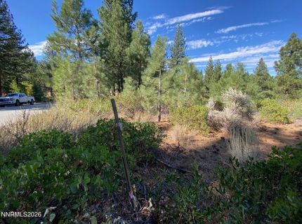 955 Blue Spruce Road, Reno, NV 89511 Photo