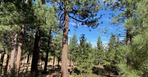 955 Blue Spruce Road, Reno, NV 89511 Photo