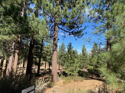 955 Blue Spruce Road, Reno, NV 89511 Photo
