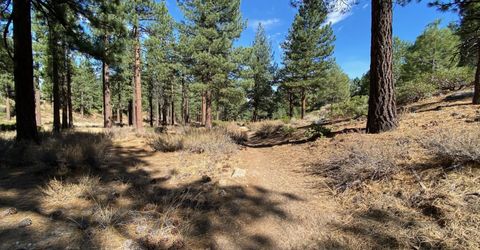 955 Blue Spruce Road, Reno, NV 89511 Photo