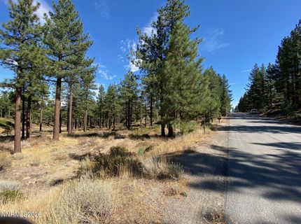 955 Blue Spruce Road, Reno, NV 89511 Photo