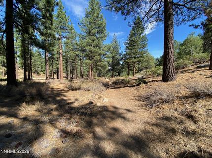 955 Blue Spruce Road, Reno, NV 89511 Photo