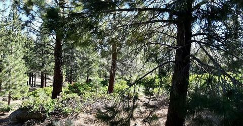 955 Blue Spruce Road, Reno, NV 89511 Photo