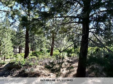 955 Blue Spruce Road, Reno, NV 89511 Photo