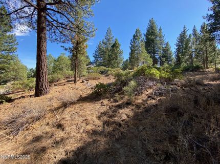 955 Blue Spruce Road, Reno, NV 89511 Photo