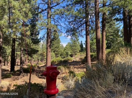 955 Blue Spruce Road, Reno, NV 89511 Photo