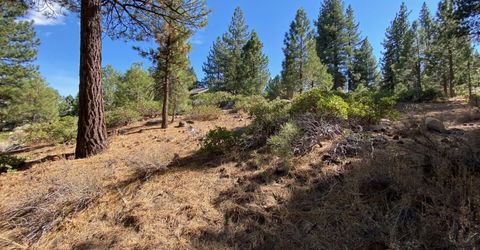 955 Blue Spruce Road, Reno, NV 89511 Photo