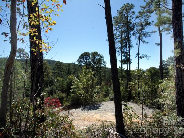 Lot 25 Round Mountain Road, Brevard, NC 28712