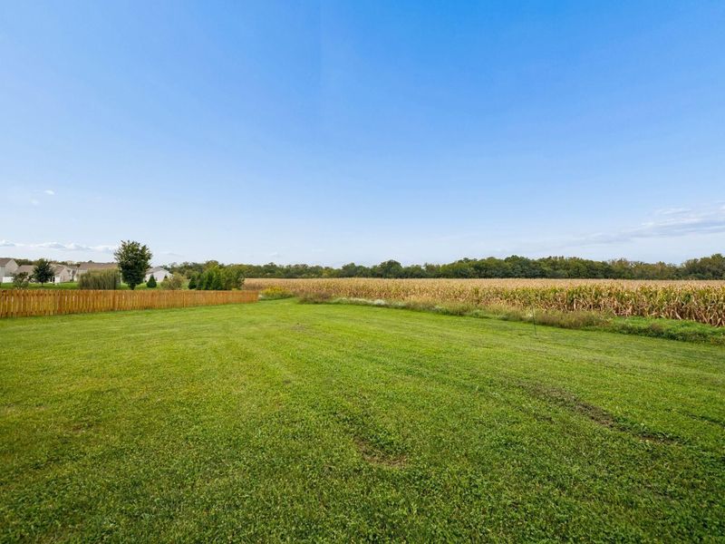 5574 Tarboro Place, Canal Winchester, OH 43110 Photo 6