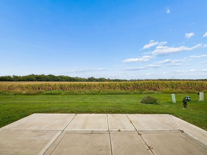 5574 Tarboro Place, Canal Winchester, OH 43110 Photo 8