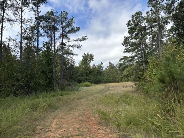 00 Hwy 331, Oxford, MS 38655