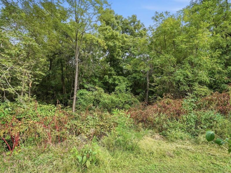 8614 St Rt 48, Hamilton Township, OH 45140 Photo 47