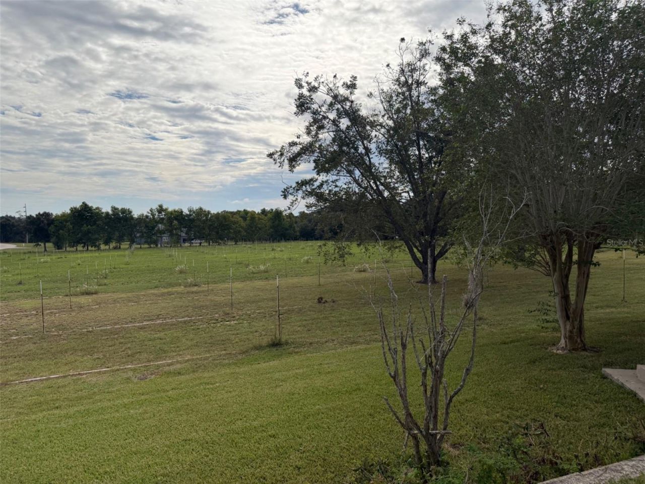1815 Adams Barn Road , Lake Alfred, FL 33850 Photo