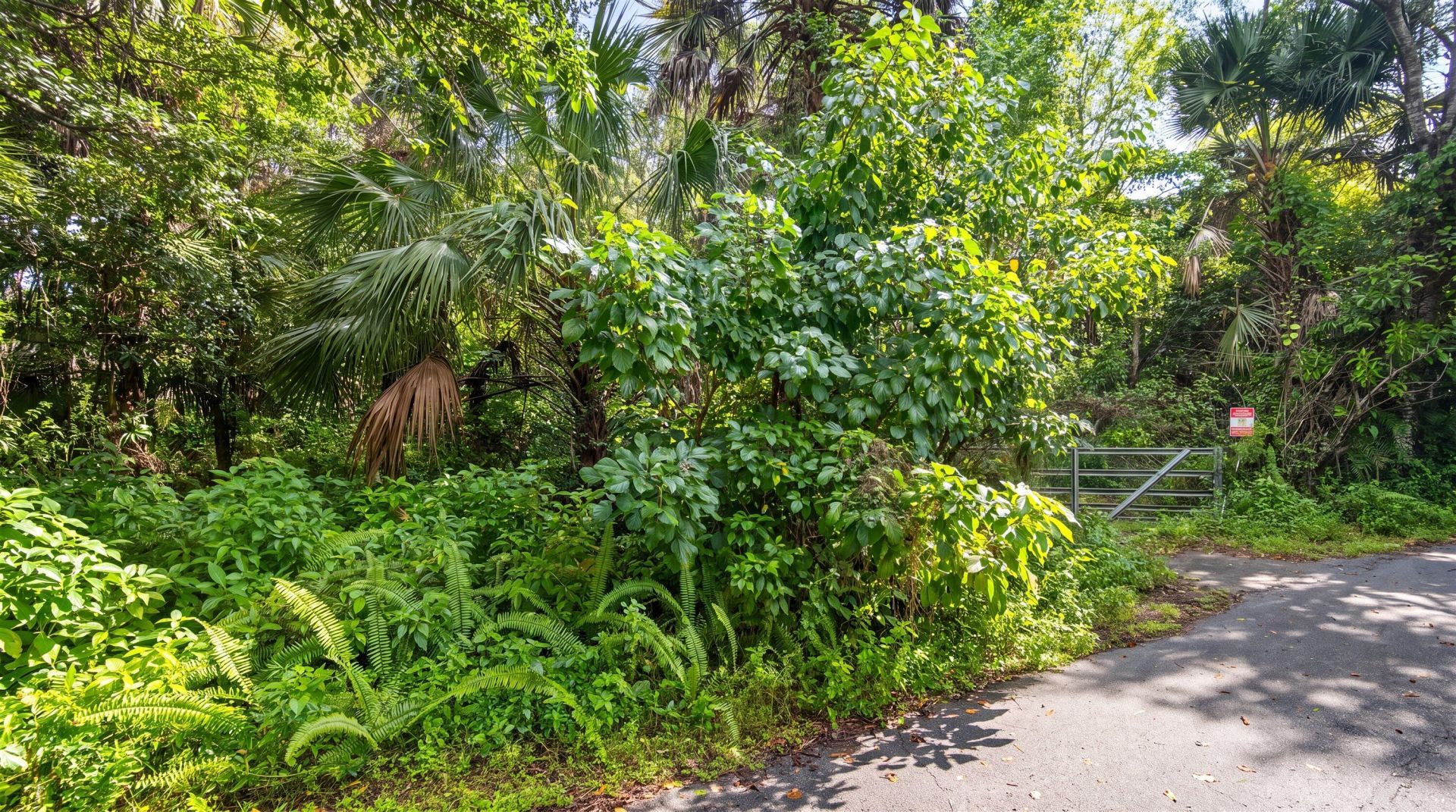 16261 Jupiter Farms Road, Jupiter, FL 33478 Photo