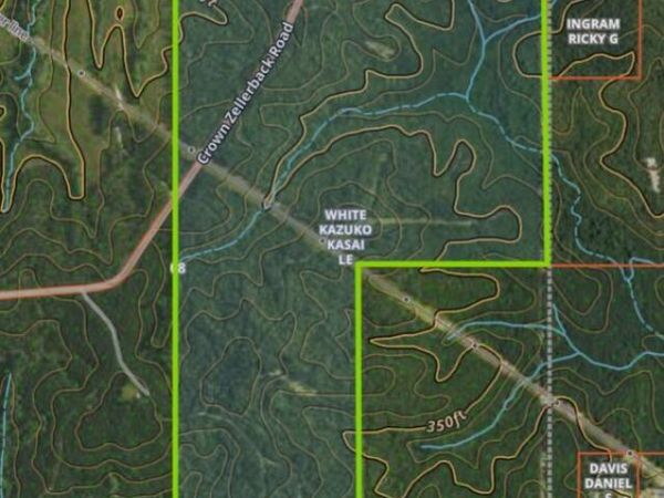 Crown Zellerback Road, Lumberton, MS 39455
