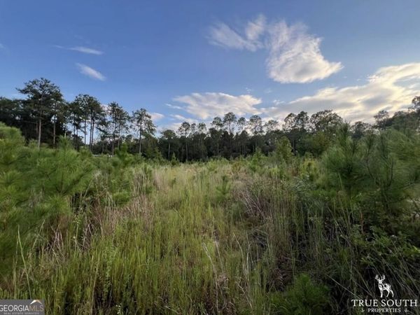 0 Bedsole Road, Eastman, GA 31023