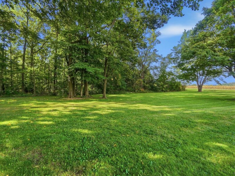 900 N Urbana Lisbon Road, South Vienna, OH 45369 Photo 46