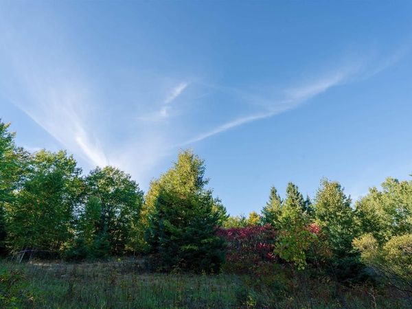 10 Acres on E White Birch Rd, Port Wing, WI 54865