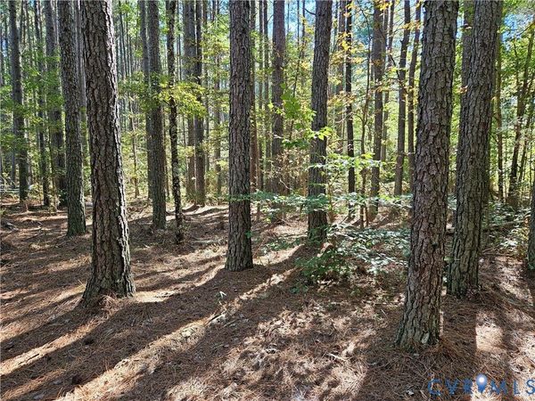 33.65 Acres Military Road , Amelia Courthouse, VA 23002