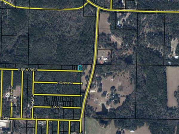 Lot 50/51 POPLAR Drive, Vernon, FL 32462