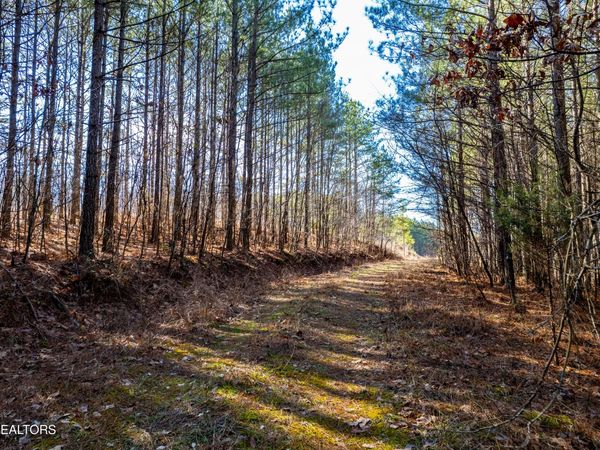 Lower Rockwood Rd Rd, Rockwood, TN 37854