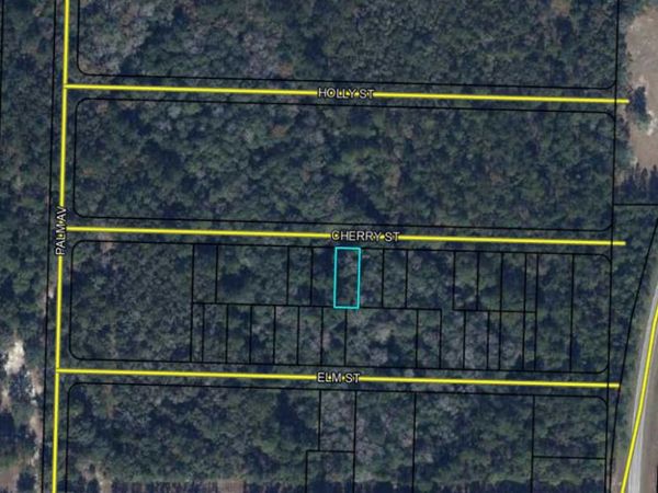 Lots 19/20 CHERRY Street, Vernon, FL 32462