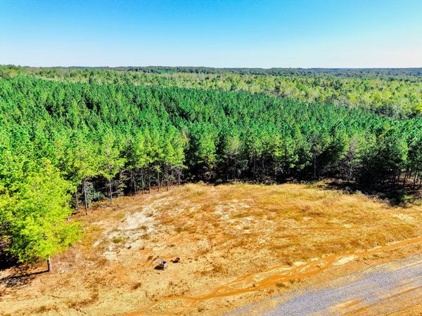 0 Warren Proctor Ln , Unit 33, Erin, TN 37061