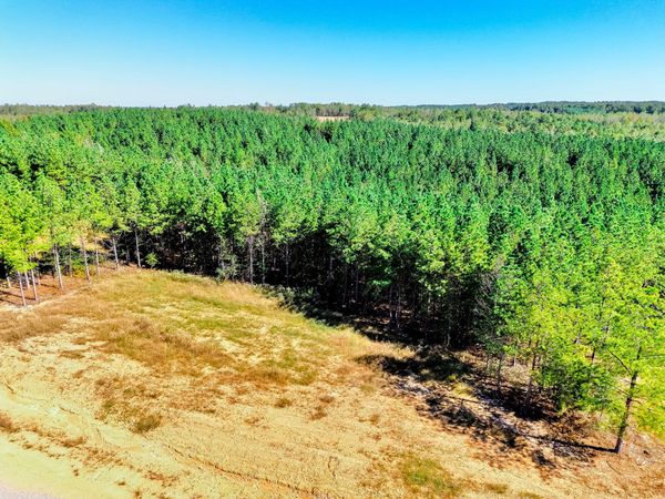 0 Warren Proctor Ln , Unit 34, Erin, TN 37061