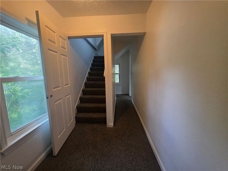 1705 E 84 Street, Cleveland, OH 44103 Photo 23