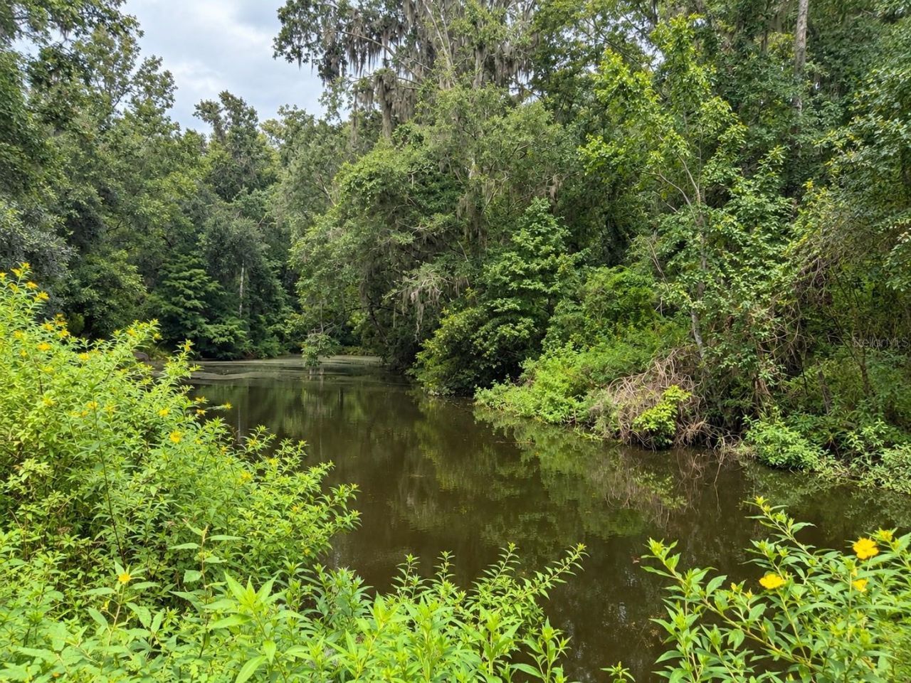 26307 Mountain Lake Road, Brooksville, FL 34602 Photo