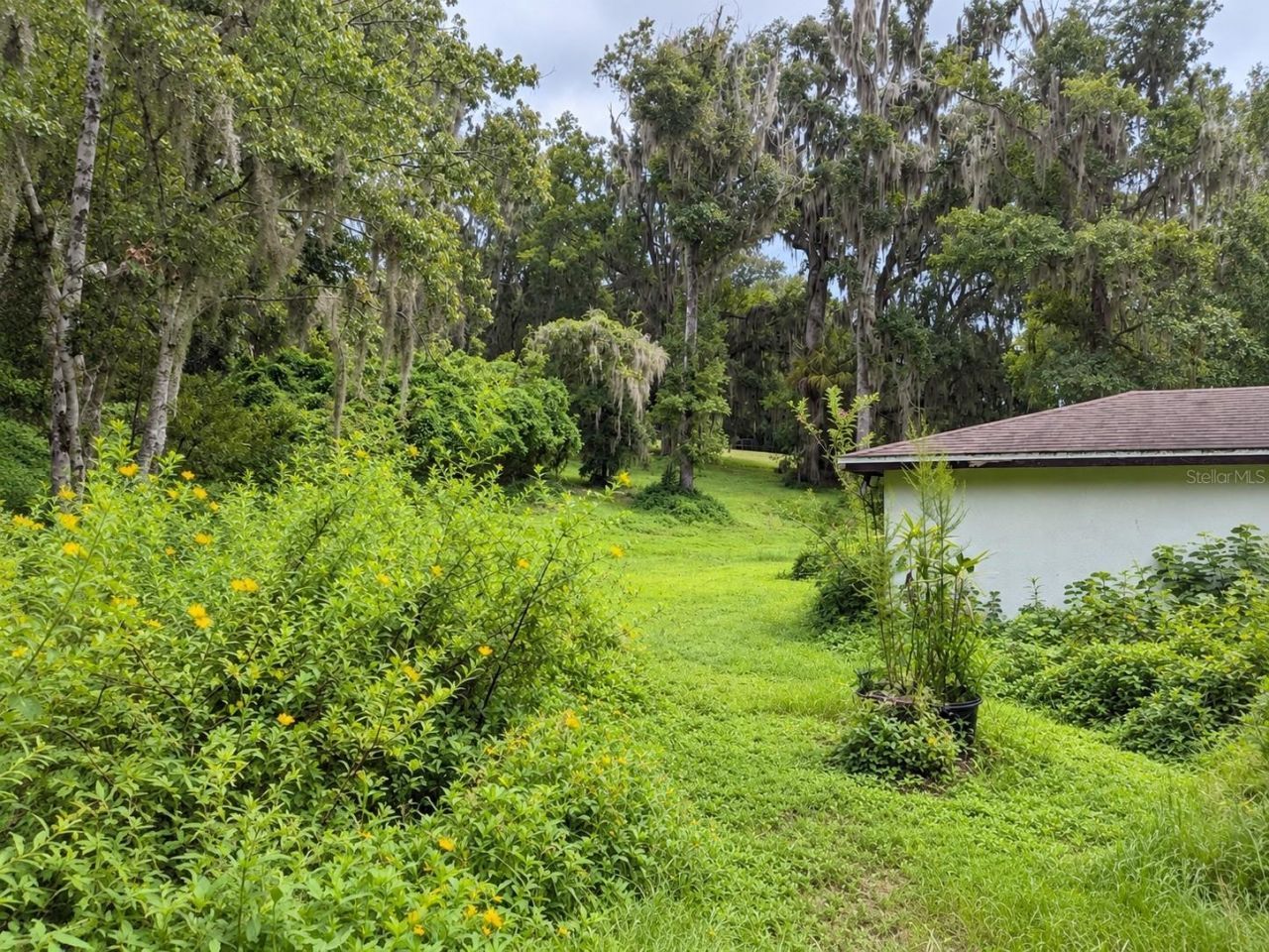 26307 Mountain Lake Road, Brooksville, FL 34602 Photo