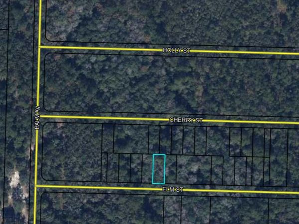 Lots 70/71 ELM Street, Vernon, FL 32462