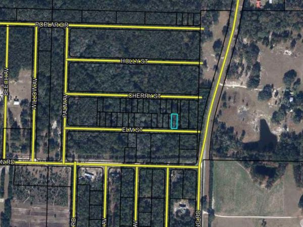 Lots 53/54 ELM Street, Vernon, FL 32462