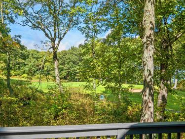 911 DEVILS KNOB LOOP , Wintergreen Resort, VA 22967